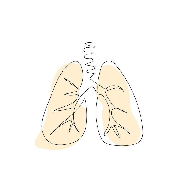 Exploring The Link Between Chronic Diseases And Nutrition Prevention Through Dietary Choices