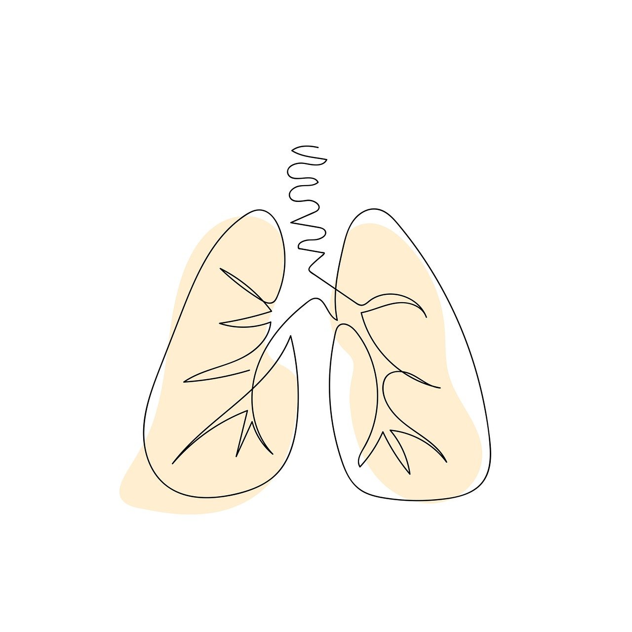 The Future of Nutrition and Chronic Disease Prevention