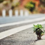 Mind Over Matter The Role Of Mental Health In Maintaining Vitality