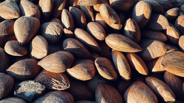 Mindfulness And Health How Meditation Boosts Your Physical And Mental Wellness