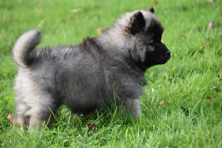 The Link Between Sleep Quality And Overall Health What Science Says