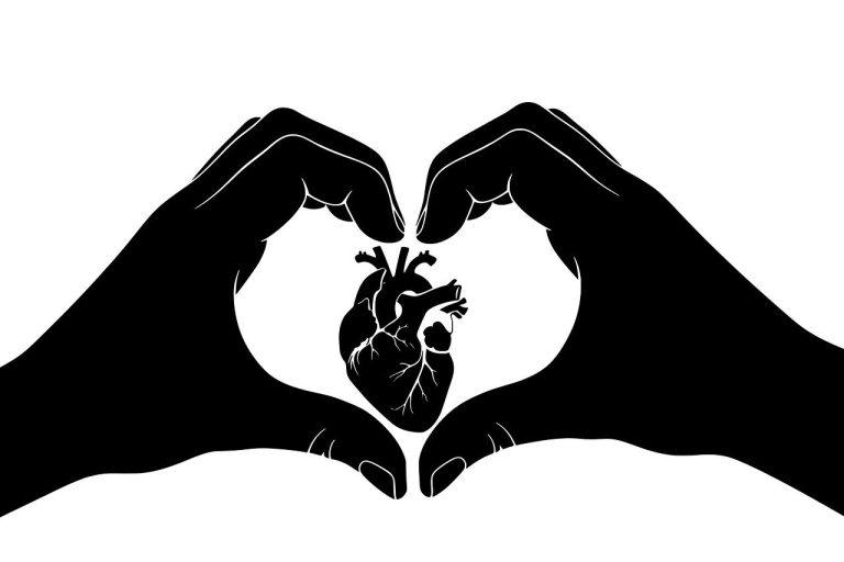 The Link Between Sleep Quality And Overall Health What Science Says