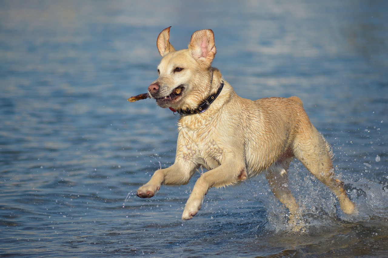 Even with the best intentions, many people encounter obstacles that