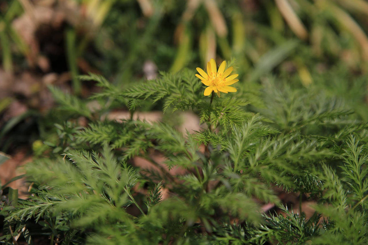 Research has shown that physical activity improves brain function across