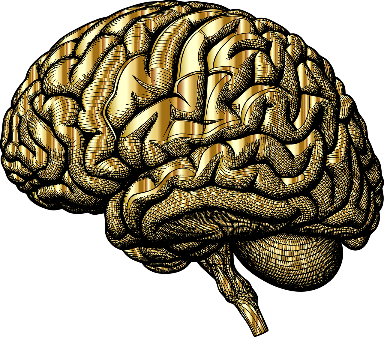 Ginger is a versatile root known for its anti-inflammatory and