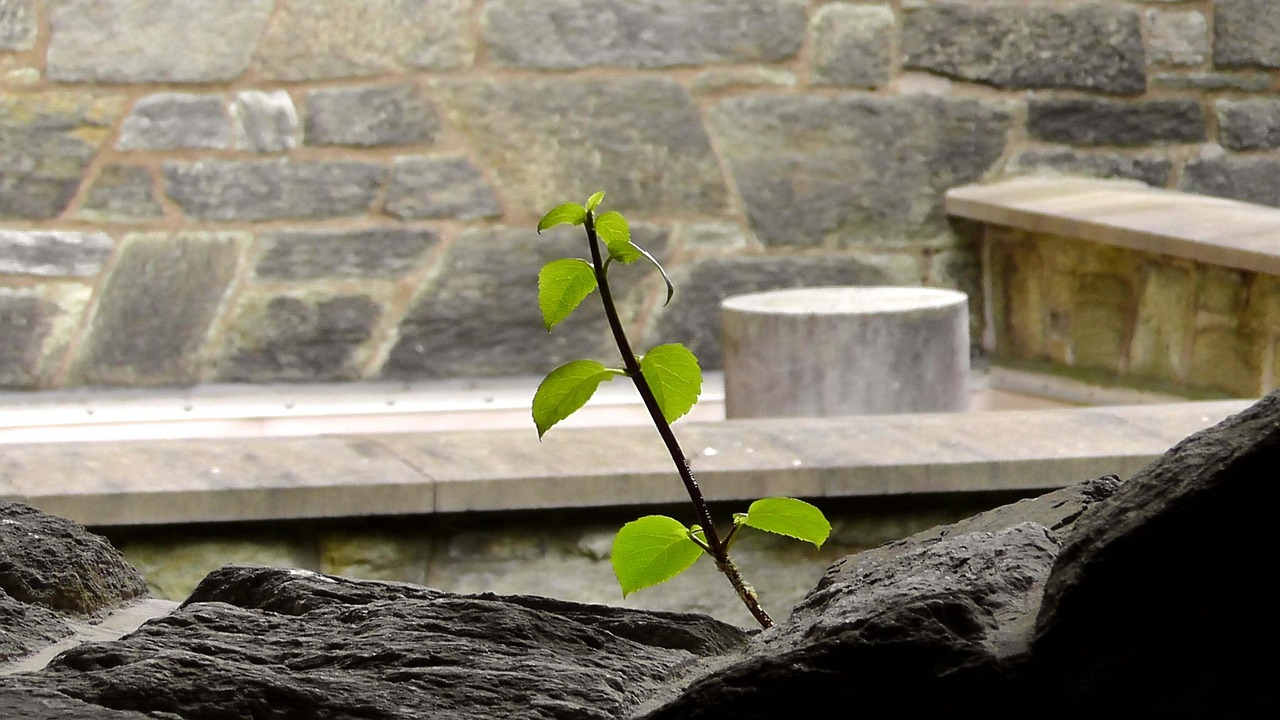 Begin by identifying stressors in your life and developing strategies