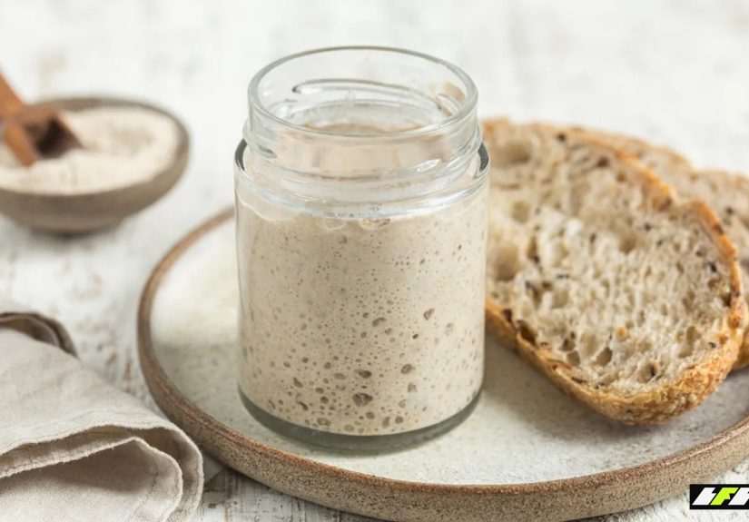 sourdough-and-starter-x