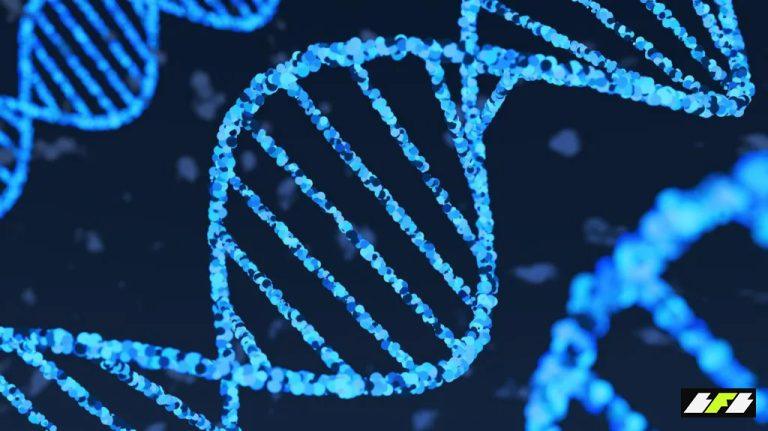 ddfd69f0-fc49-11f0-a087-459dd8e000af